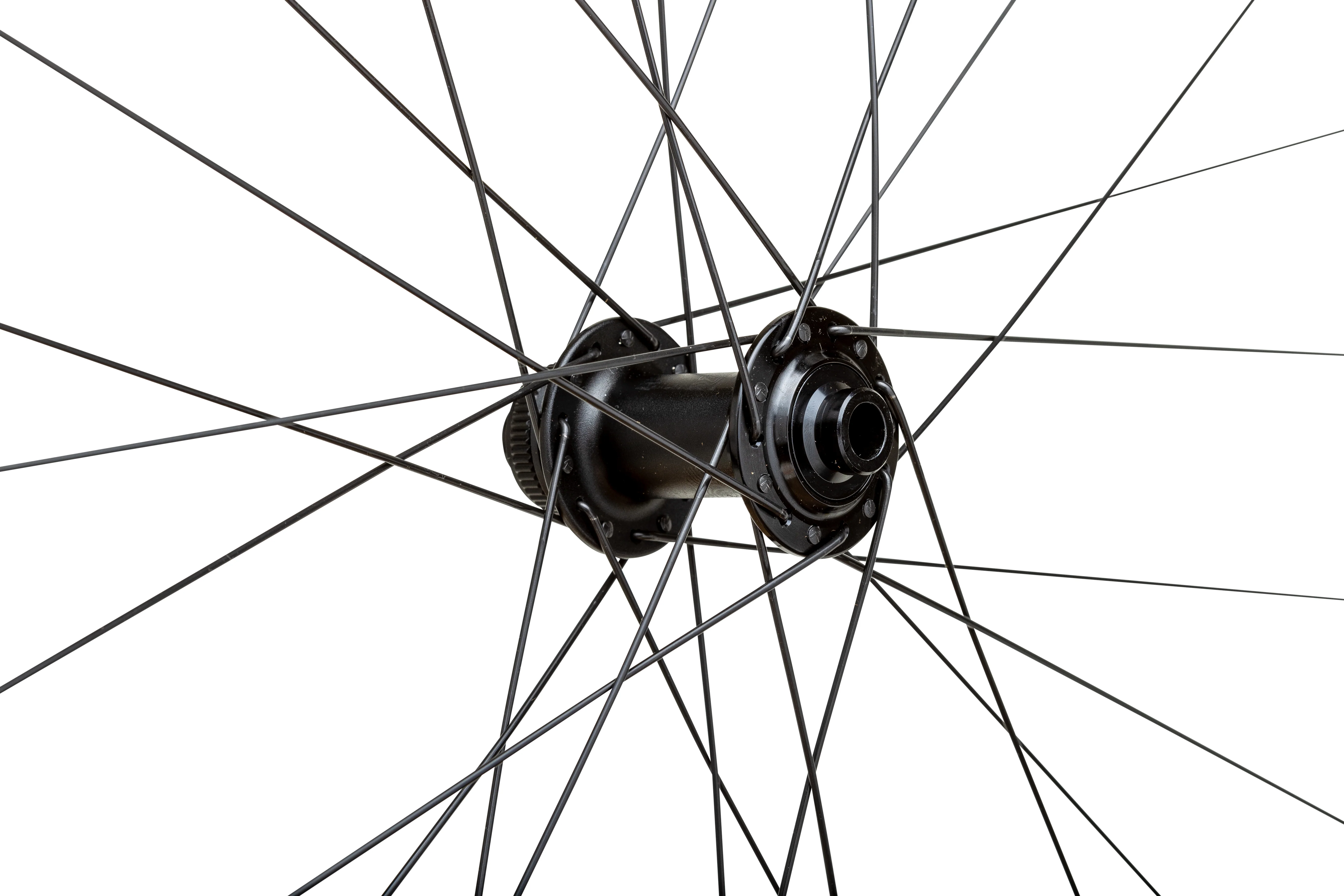 Proterra Light i23 - Image 4
