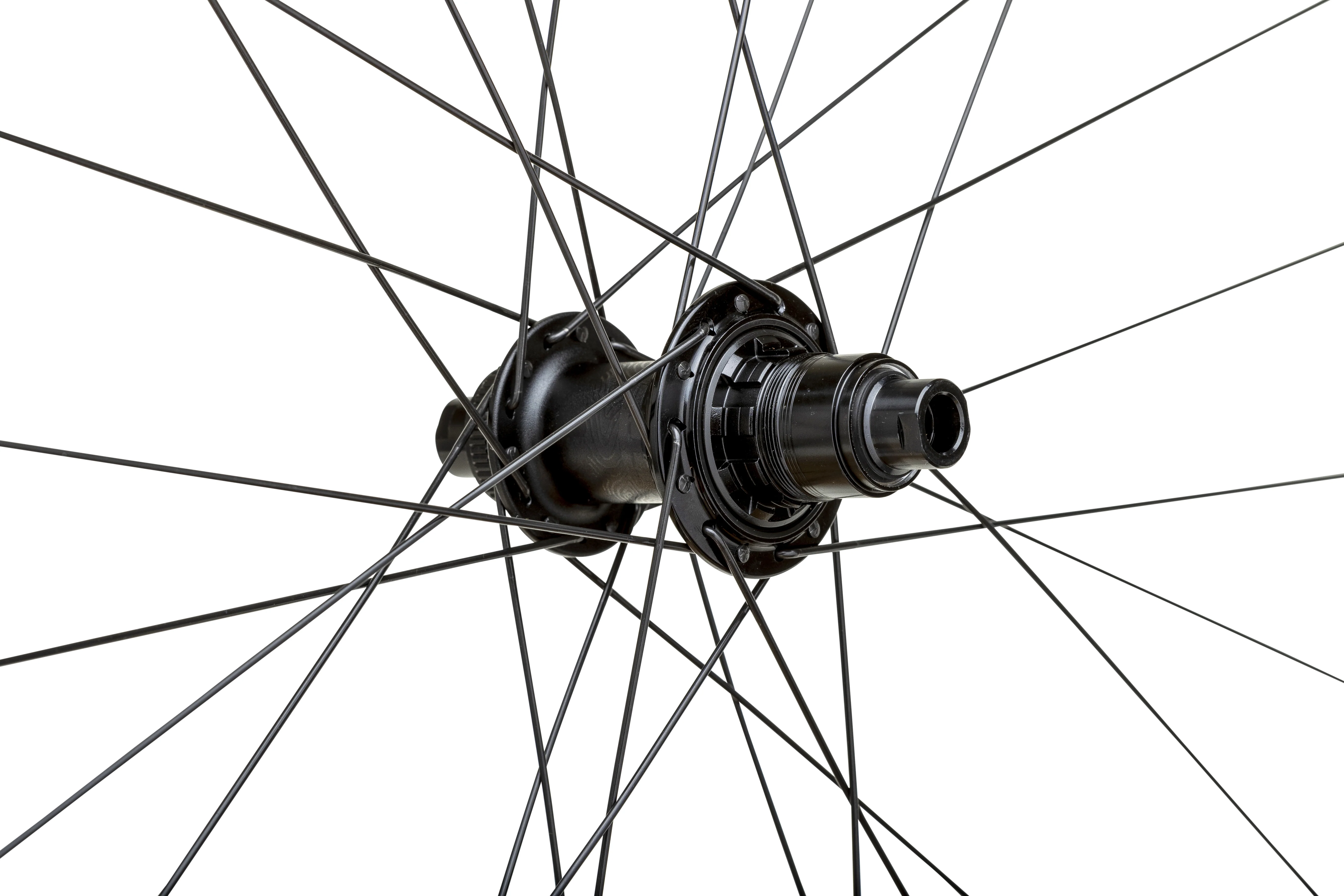 Proterra Light i23 - Image 5