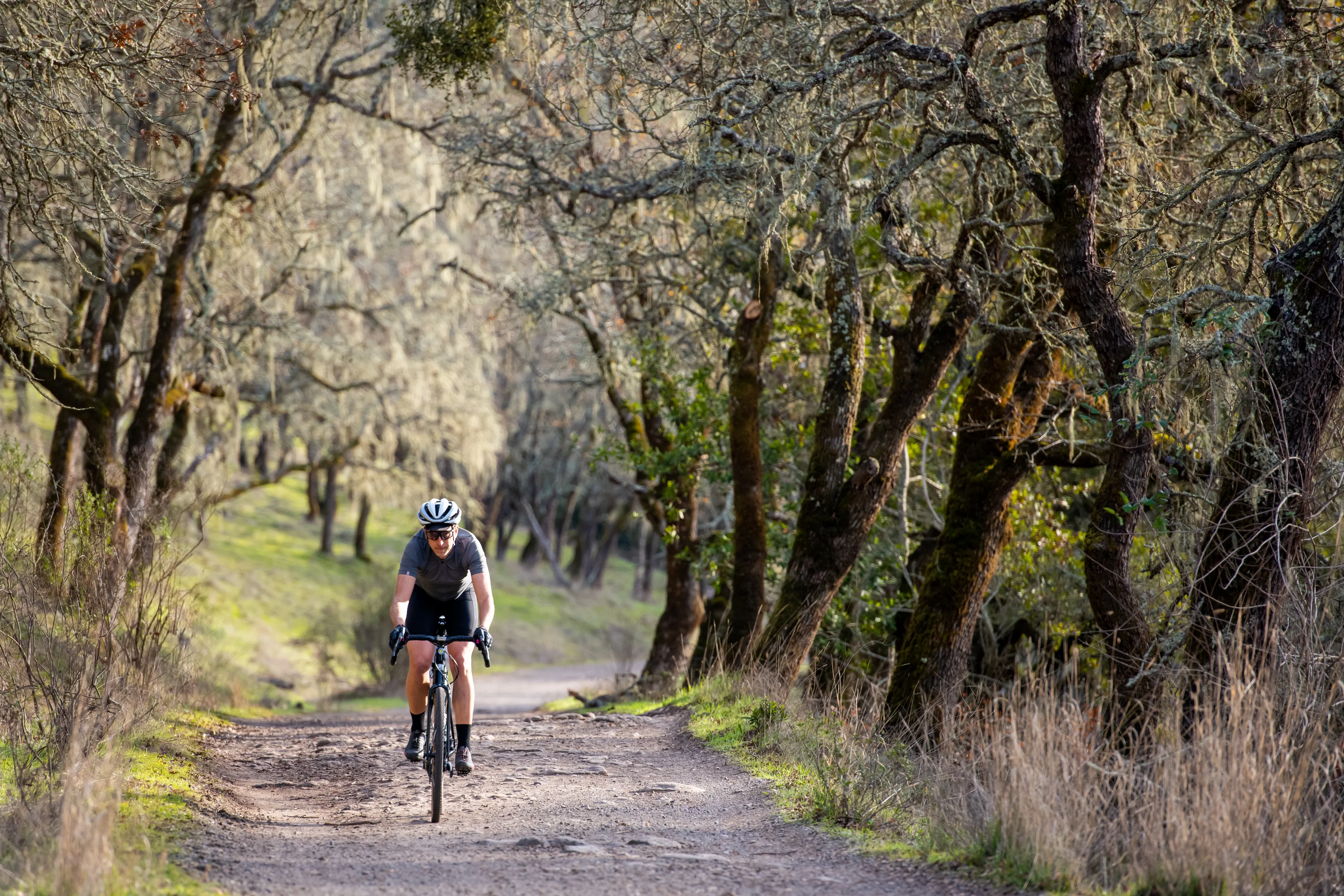 Proterra Light i23 - Image 7