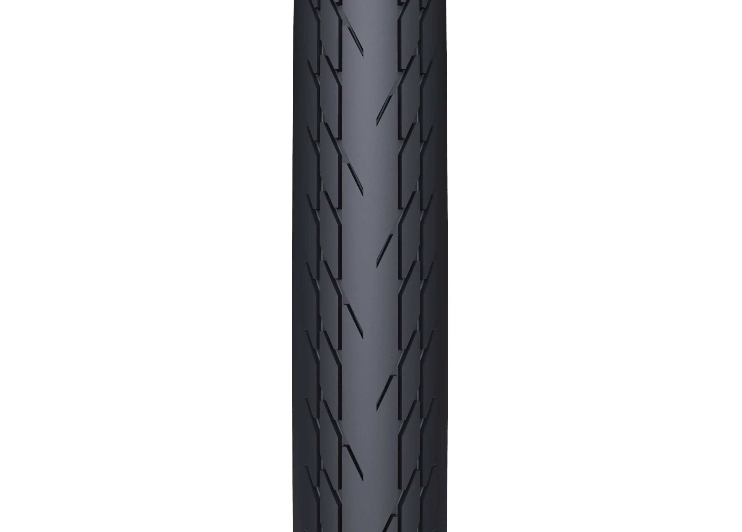 Slick - Image 3