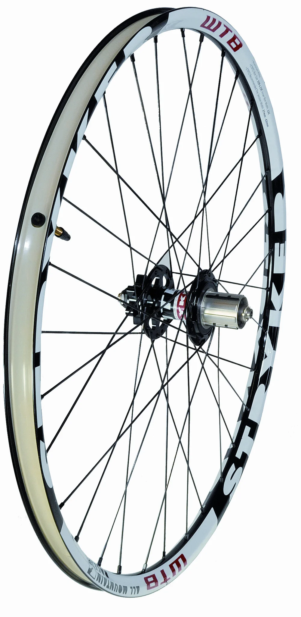 Stryker - Image 4