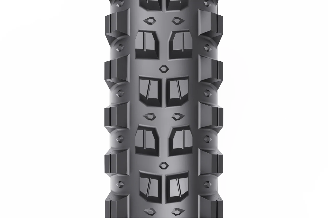 Verdict - Image 4