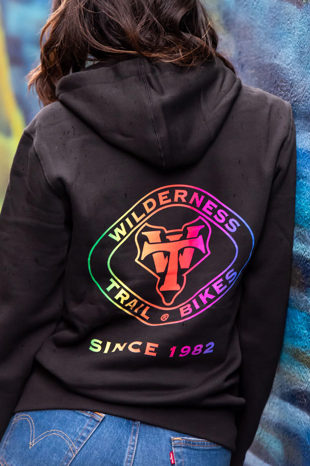 WTB Heritage Logo Rainbow Hoodie - Image 3